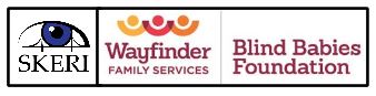 Three logos: SKERI Blue Eye in Golden Gate Bridge outline, Wayfinder Family Services: stylized kids in shades of yellow orange and red with arms up, Blind Babies Foundation in maroon