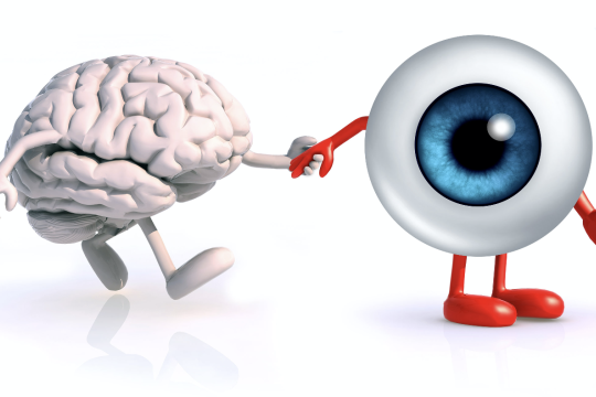 a cartoon rendering of an eyeball and a brain holding hands