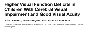 Higher Visual Function Deficits in Children with Cerebral Visual Impairment and Good Visual Acuity