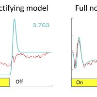 Figure of model fits to the time course of the human electroencephalogram