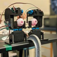 3D printed frame and 2 eyeballs with lasers illuminating the pupil