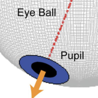 schematic of an eyeball with pupil labeled and arrow indicating direction of gaze
