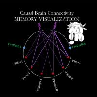 Causal Brain Connectivity between Hippocampus and Early Visual Subareas in Memory-Visualization