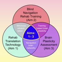 Venn diagram of the multidisciplinary approach to this clinical trial on blind navigation.