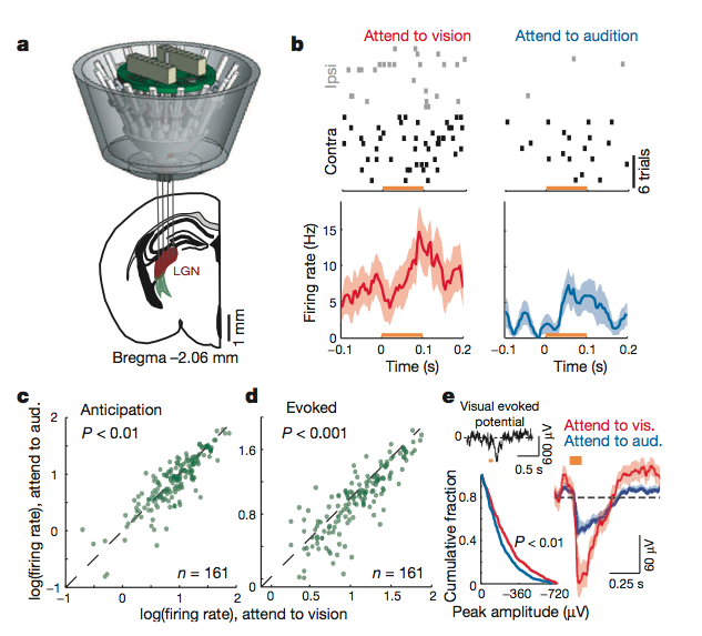 screen_shot_2015-11-09_at_1
