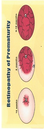 good_and_nas_nov_2016