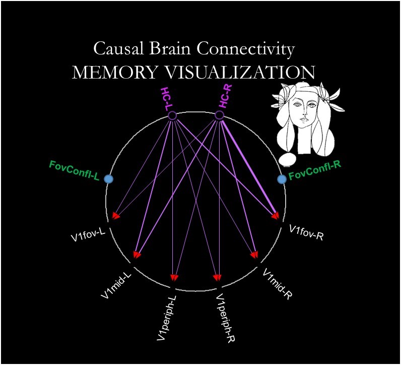 Causal Brain Connectivity between Hippocampus and Early Visual Subareas in Memory-Visualization