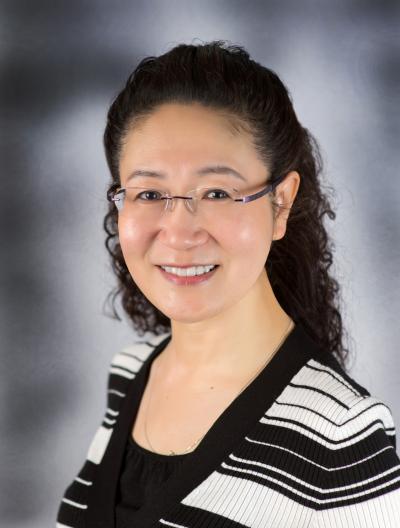 Zoom Brown Bag: Excitatory and Suppressive Contribution to Binocular Interactions in Human Visual Cortex