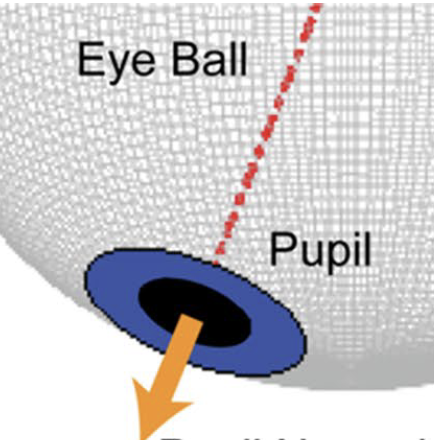 schematic of an eyeball with pupil labeled and arrow indicating direction of gaze
