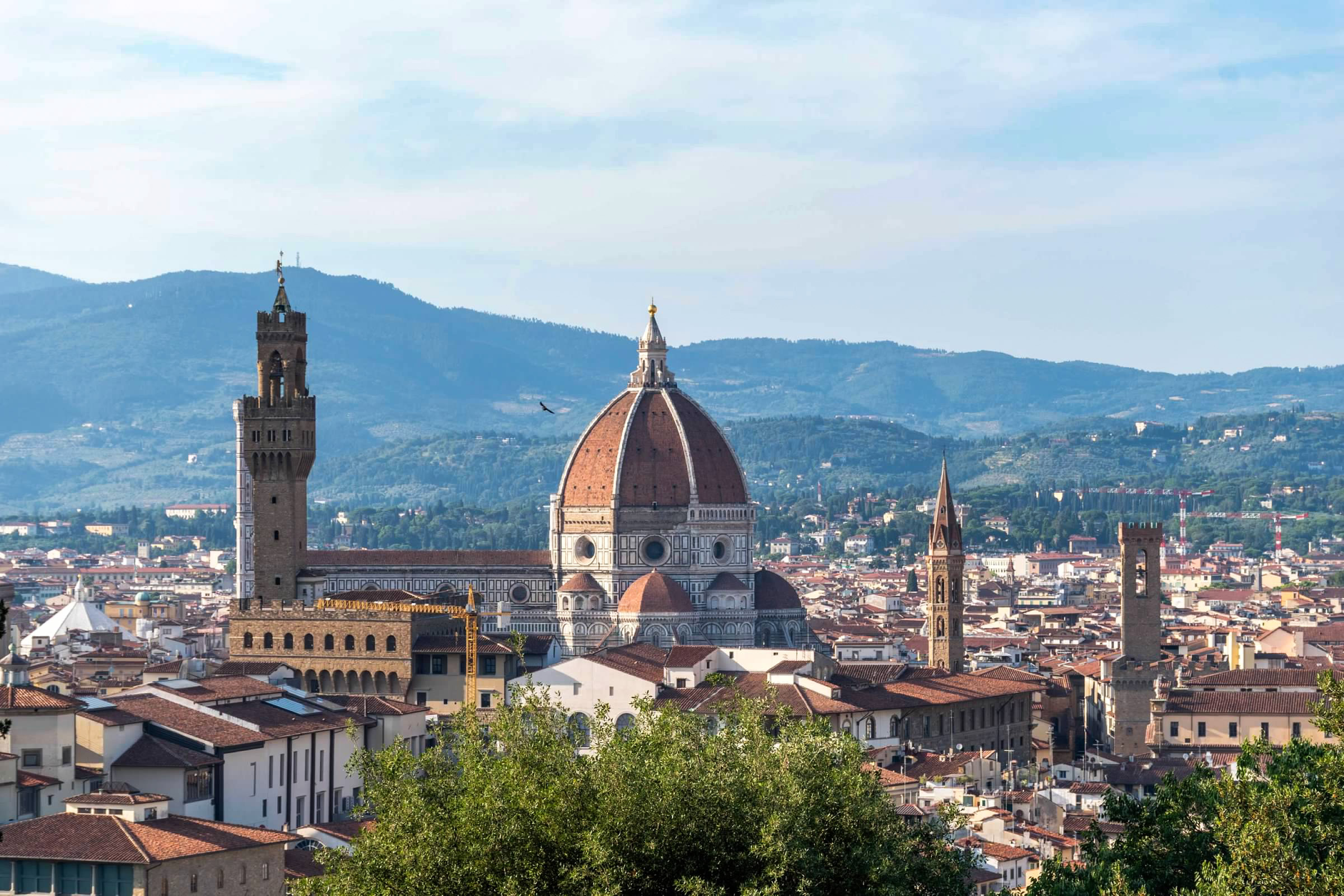 A view of the city of Florence