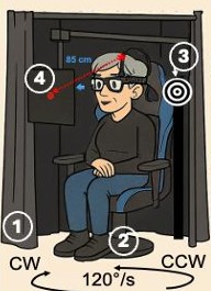 A participant sits in a rotational chair that rotates in the yaw direction.