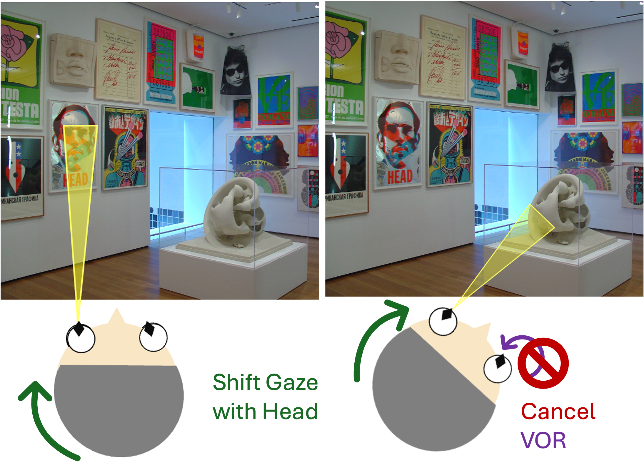 diagram of a head rotation that does not produce an eye counterrotation and instead the eyes are rotated to a new target by the head