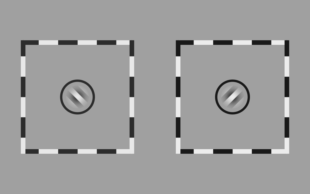 The two rivalry stimuli side by side. Each is a circular patch of diagonal stripes inside a dashed square frame; the stripes in the left patch tilt one way and those in the right patch tilt the opposite way.
